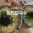 동원 | 대전 칼국수 맛집 추천 월평동 동원칼국수 후기