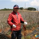 김만수농장 이미지