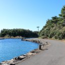 제주 올레길 2코스 이미지