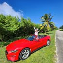 성공렌트카 | 🚗 사이판 한인 렌트카 예약 추천 필수 코스 후기