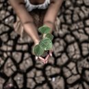 소비자유통 이미지