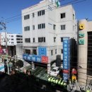 센텀애견샵 이미지