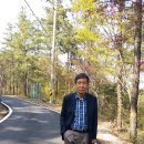 부여(임천)-15 이미지