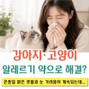 전주맑은약국 네이버블로그