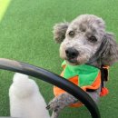 밀양유치원 이미지