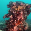 숙영목장 이미지