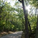 보천사 취계당 대사 부도 | 전북 익산 [10] 숭림사보광전(崇林寺普光殿)