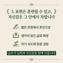 와이즈포레스트