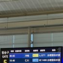 만천할인마트 | [일상] 오키나와 출장