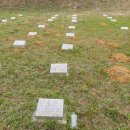 파주시 현충탑 | 파주 적성면 답곡리 "적군묘지/북한군/중공군 묘역" 탐방 사진 및 후기