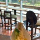 화이재