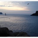 금빛바다 이미지