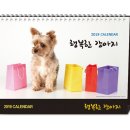 행복한강아지 이미지