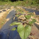 오대산별장 이미지