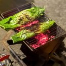 ​나라별 바비큐 치트 키, 한눈에 알아보기! 이미지