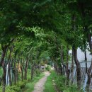 원주허브팜식물박물관 이미지