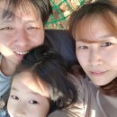 도토리짐(319) | 전남 캠핑장 추천!곡성 꿈꾸는 캠핑장 11월 꿈캠
