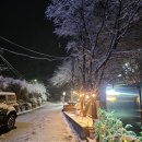 마이웨이 비발디 관광펜션 | 강원도 여행시 머물렀던 홍천펜션 신영펜션