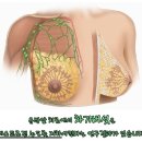 ﻿[유방암] 유방암원인 '음주' 주량체크해보셨나요? 이미지