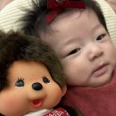 신사세탁 | 캐리마켓 신사 몬치치 가격 | 몬치치 베베드피노 콜라보