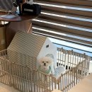 용이e편한세상1단지 111동 앞 | 네일 “네일삠” 장지동네일, 경기광주속눈썹, 경기광주속눈썹펌, 이편한세상 네일샵, 솔직후기, 찐후기