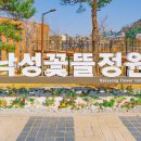 석촌공원길 | 서울 벚꽃 명소, 석촌호수와 낙성대공원 주말 나들이 후기, 2026 벚꽃 마무리 기록