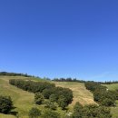 주형목장 이미지