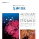털보리조트 이미지