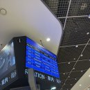 터미널 동아약국 앞 교통섬 | 시간이 너무 빠르다