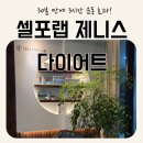 대명의료기기상사 | 요요 없는 체형관리_ 셀포랩제니스 다이어트로 휴가 후 찐 살 급찐급빠!