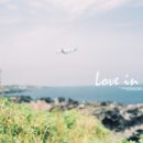 제주에 산다 이미지