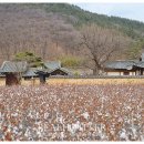 남평문씨본리세거지 주차장 안 이미지