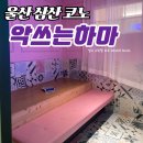 테마 노래연습장 | 울산 삼산 코인노래방 악쓰는하마 컨셉 인테리어 특이한 코노 테마룸