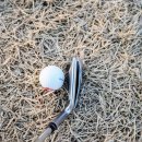 디알지(DRG) 이미지