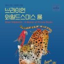 얼리버드