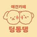 딩동댕 애견 카페 이미지