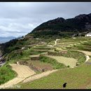 가천다랭이마을 이미지