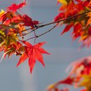 우산이발관 이미지