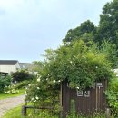 나무펜션 | [나무와 나무 펜션] 강화도 독채 펜션 숙박 후기