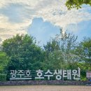 생태원길(배롱나무길) | 광주호 호수생태원 산책 광주 근교 생태 공원 나들이