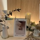 대신동물병원 이미지