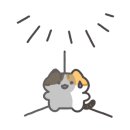텐퍼센트커피신사역점