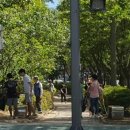 부광고등학교 Daum카페