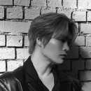 고벡스