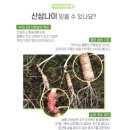 도림로63길 이미지