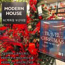 언능와 | 쇼핑 뭐 하지?) 모던하우스 NC백화점 부산대점 올인원트리110cm 내돈내산 후기 / 크리스마스 준비 완료