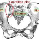 공덕인과한의원 이미지