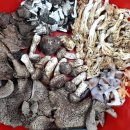 신장농장 이미지