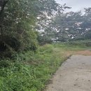 고려장골 이미지