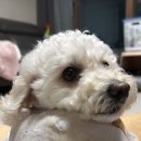 수원-0412 이미지